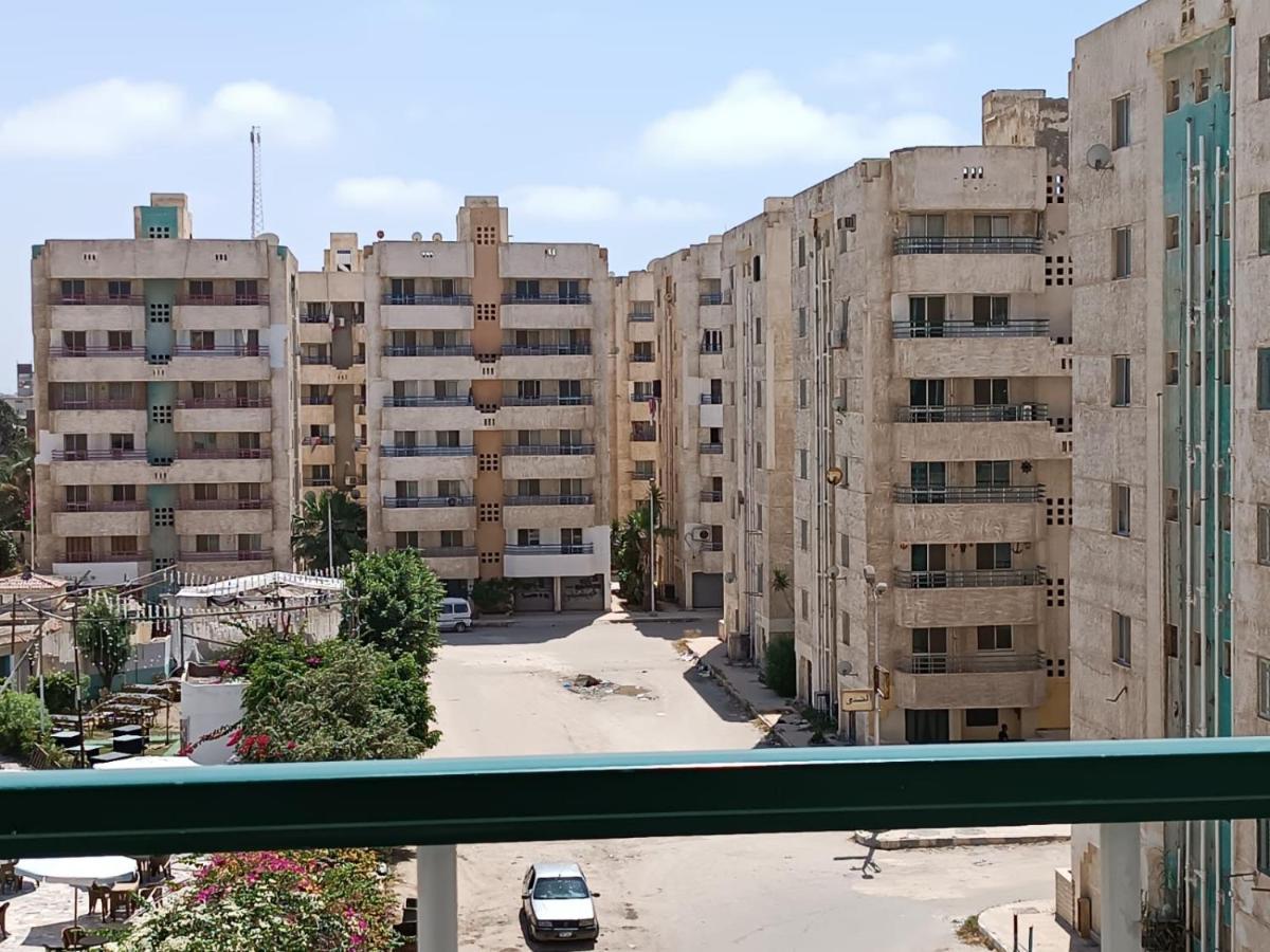 شاطيء النخيل Alexandria